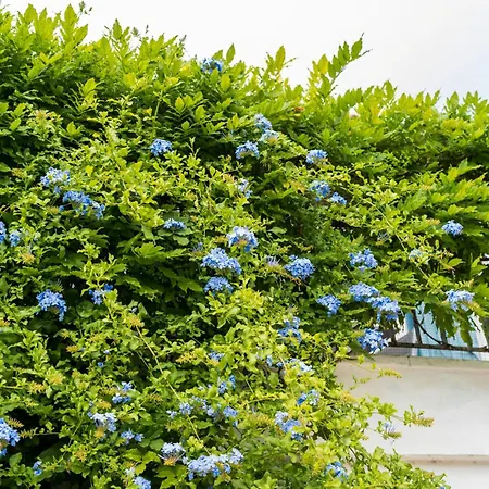 Independante, A Pied B&B 씨부르