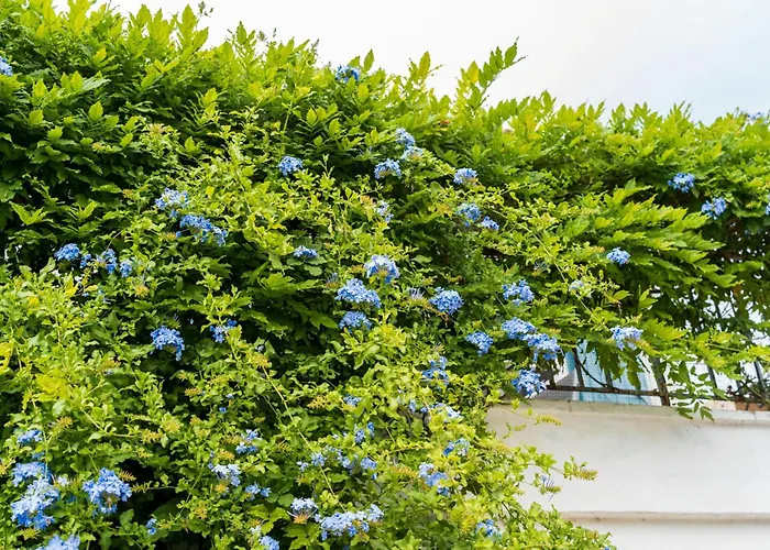 Independante, A Pied Bed & Breakfast Ciboure